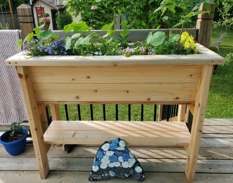 Cedar Planter