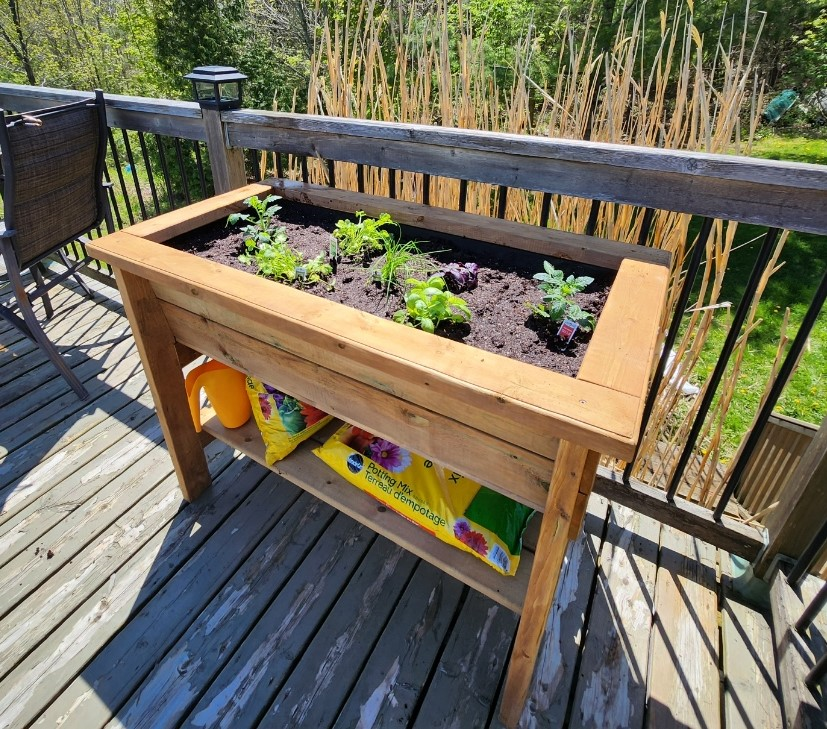 vegigro™ pressure‑treated raised garden planter vegigro™ pressure‑treated raised garden planter